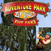 Pigeon Forge Attractions - Adventure Park at Five Oaks